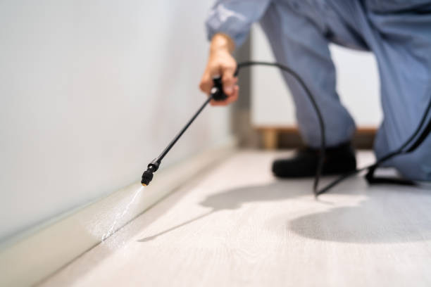 Bed Bug Pre-Treatment Preparation Assessment in Smoke Rise