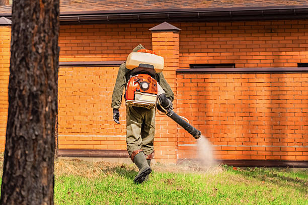Bed Bug Clearance Verification and Documentation in Smoke Rise